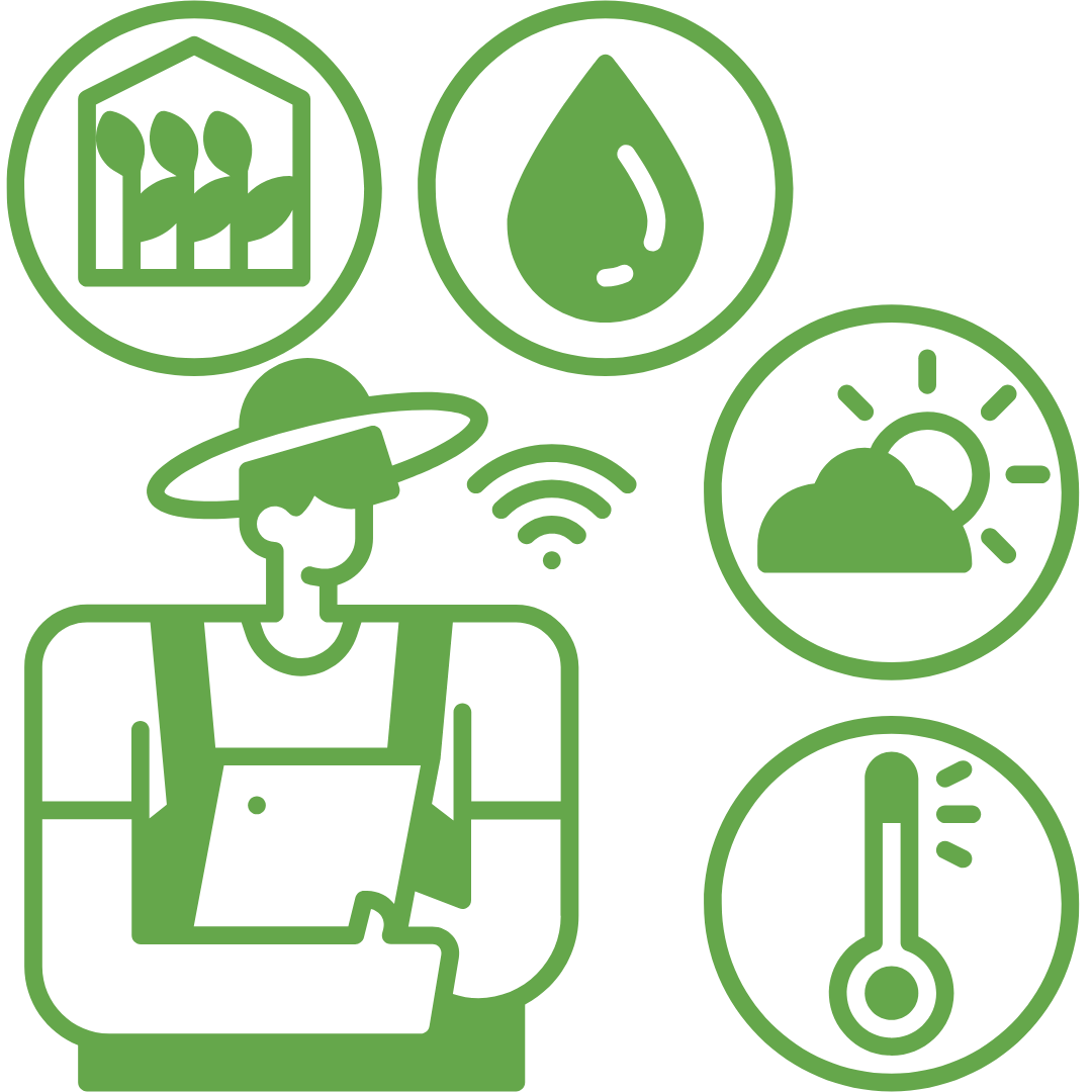 Rooted in Tradition, Growing with Innovation